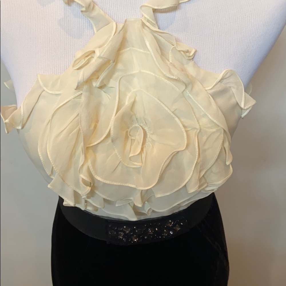 BCBG MAXAZRIA Formal Gown - Picture 3 of 5